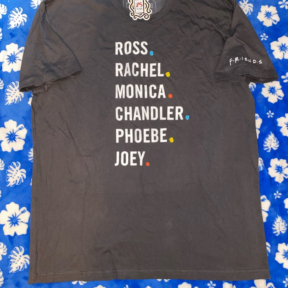 FRIENDS Gray Short Sleeve Tee Iconic Character Design
